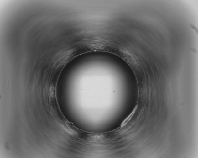 X0000095900081200801251233