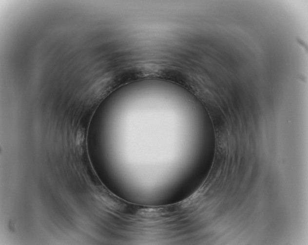 X0000095900082200801251233