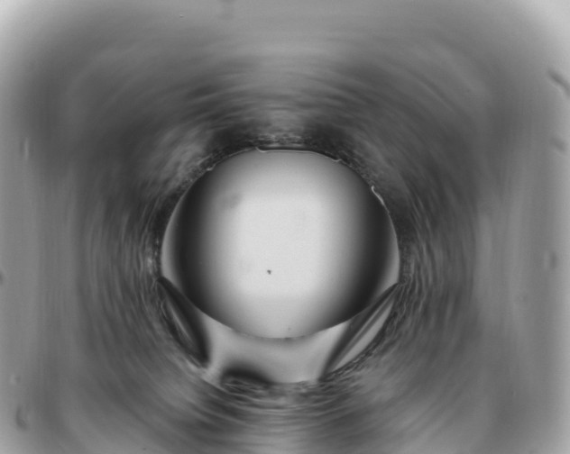 X0000095900084200801251233