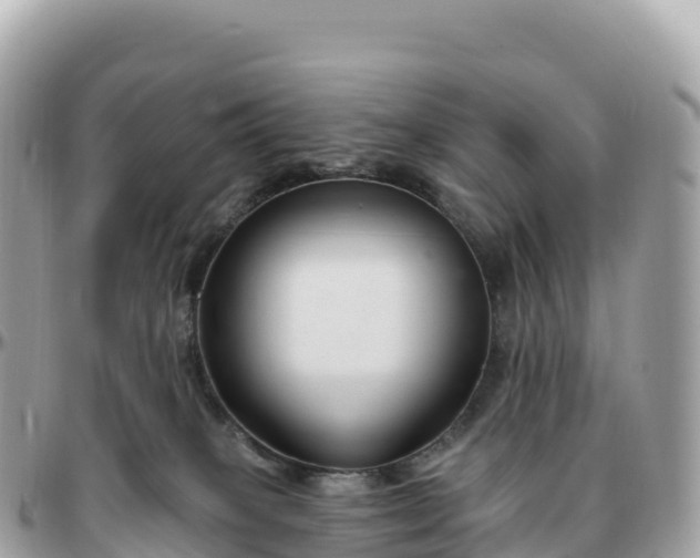 X0000095900085200801251233