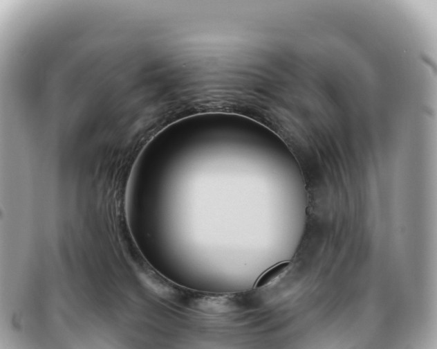 X0000095900086200801251233