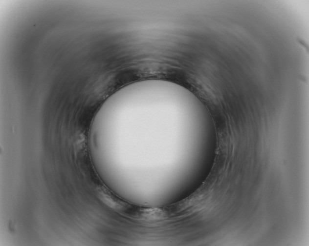 X0000095900087200801251233