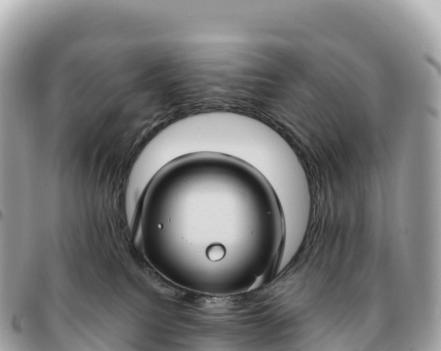 X0000095900088200801251233