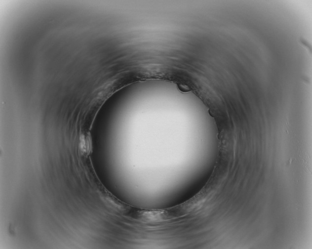 X0000095900089200801251233