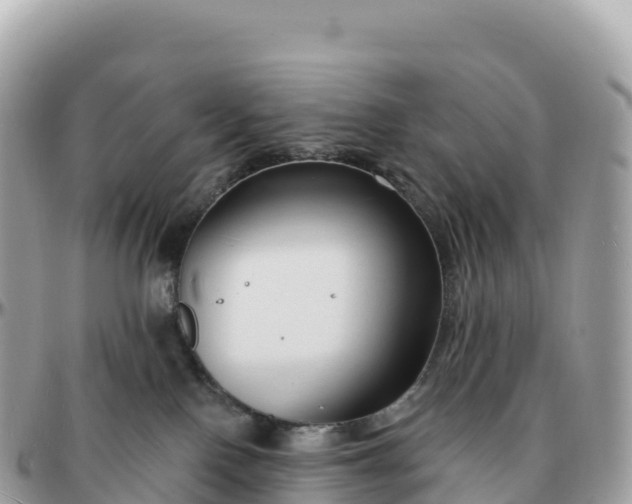 X0000095900090200801251233