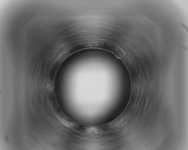 X0000095900091200801251233