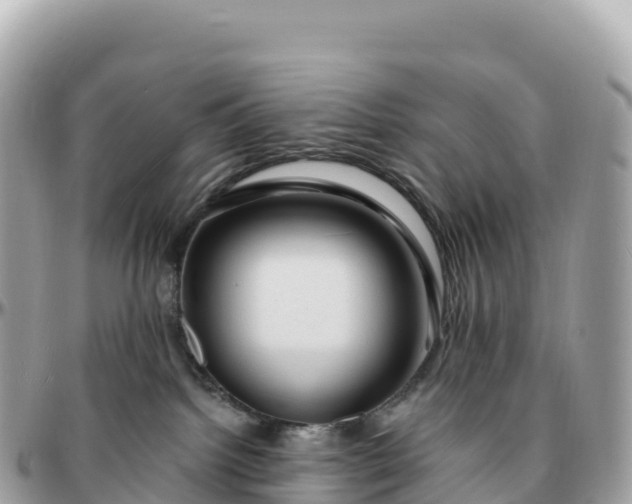 X0000095900092200801251233