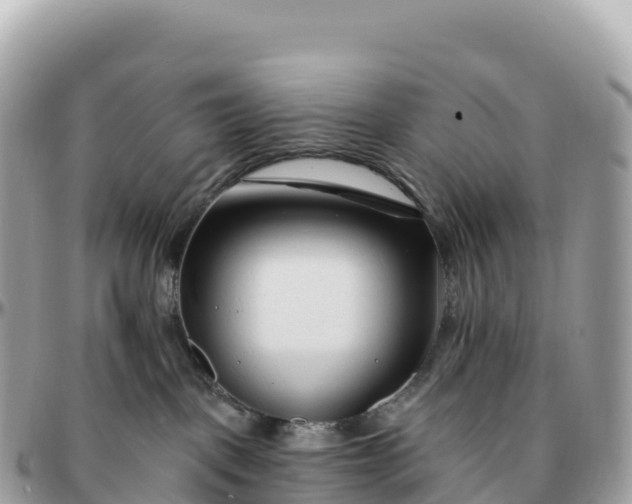 X0000095900093200801251233