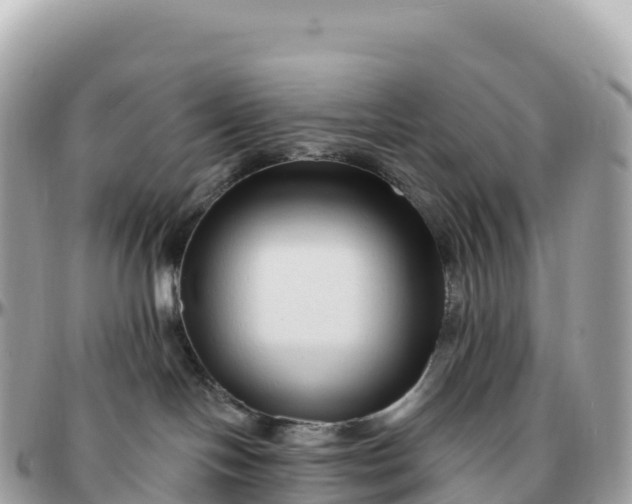 X0000095900094200801251233