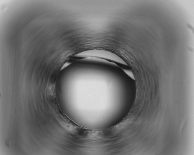 X0000095900096200801251234