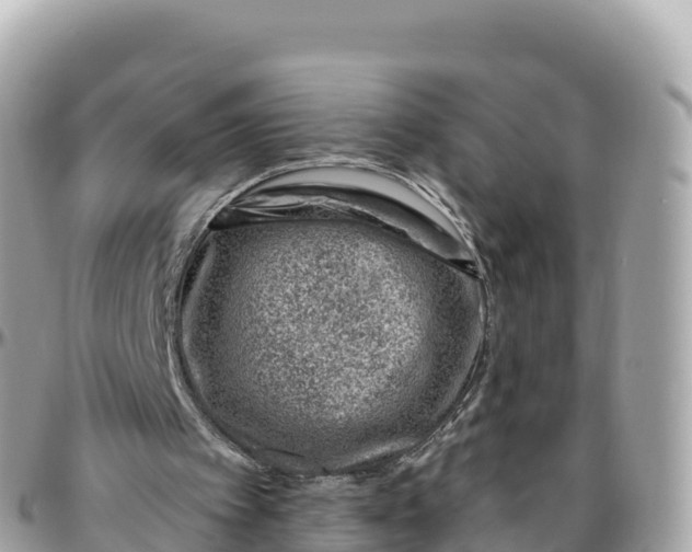 X0000095900097200801251233