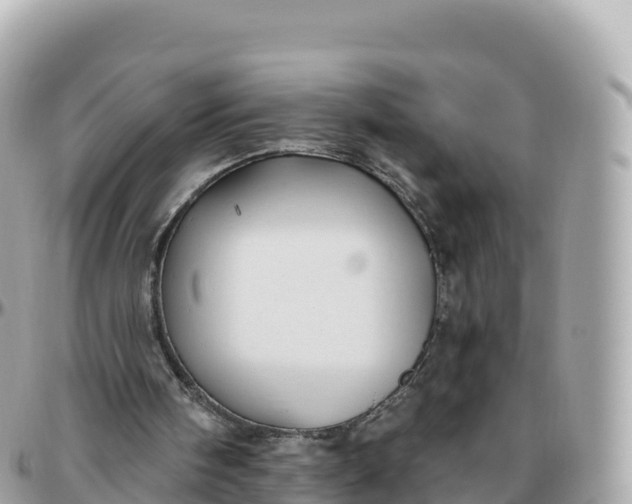 X0000095900098200801251233