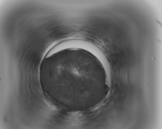 X0000095900100200801251233