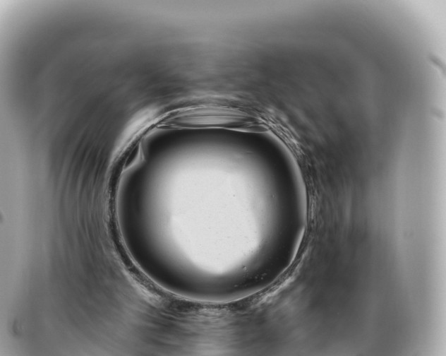 X0000095900101200801251233