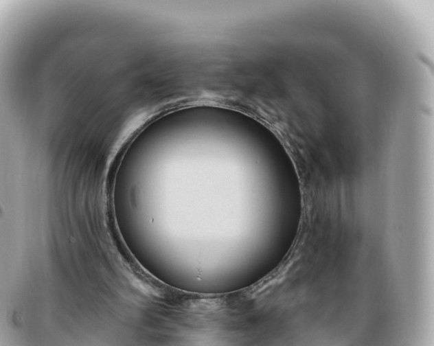 X0000095900102200801251233