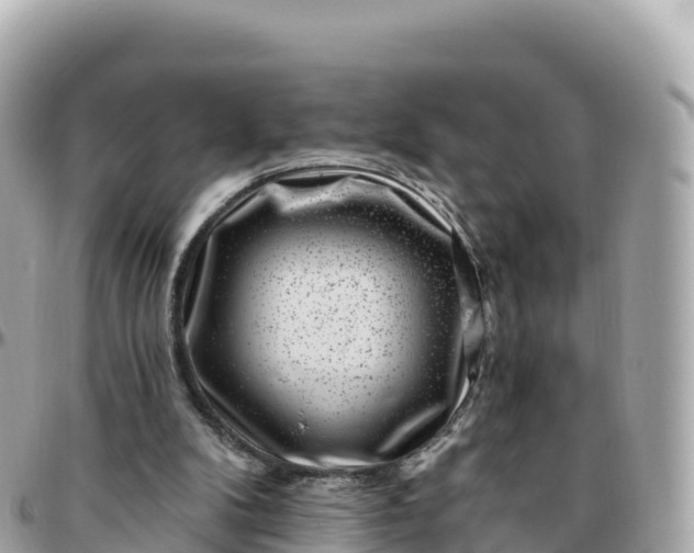 X0000095900104200801251233