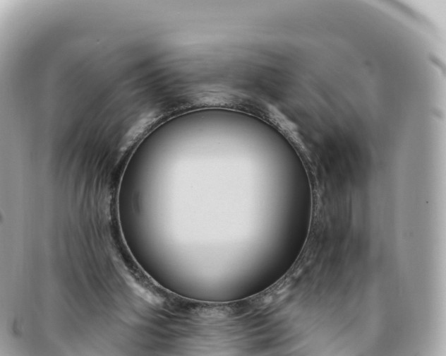 X0000095900106200801251233