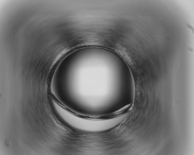 X0000095900108200801251233