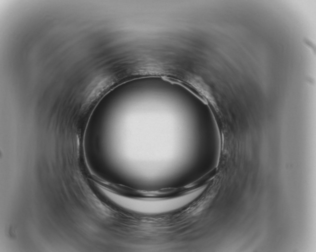 X0000095900109200801251233