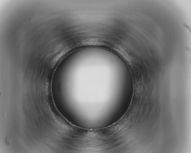 X0000095900111200801251233