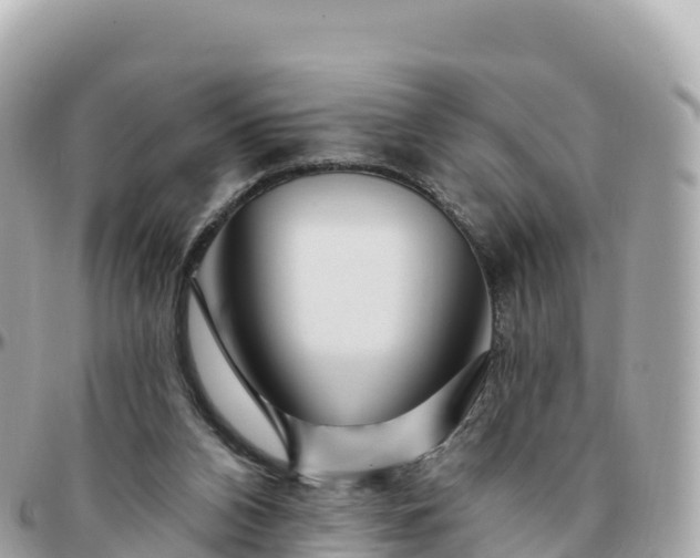 X0000095900112200801251233