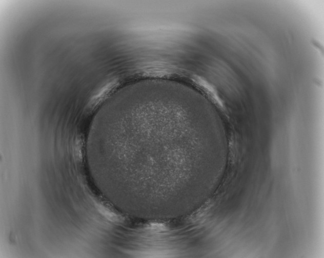 X0000095900114200801251233