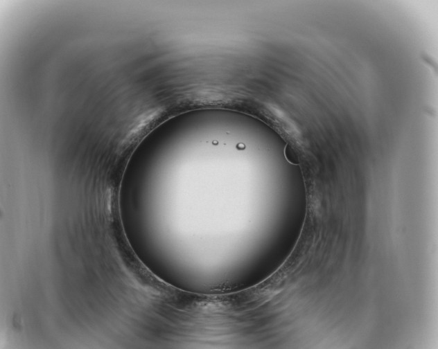 X0000095900115200801251233