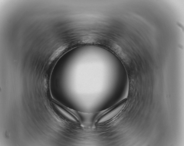 X0000095900116200801251233