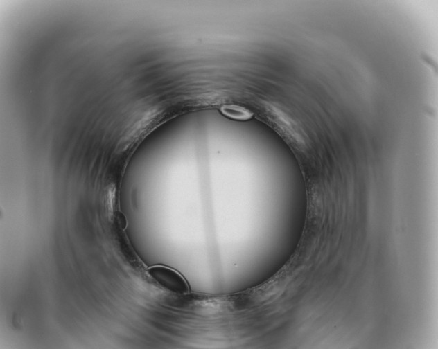 X0000095900118200801251233