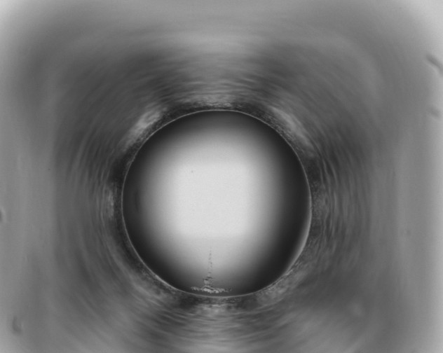 X0000095900120200801251233