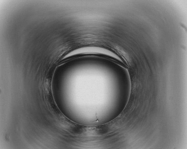 X0000095900121200801251233