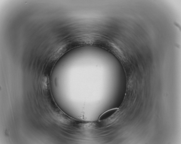 X0000095900122200801251233