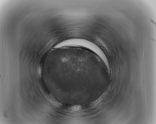 X0000095900124200801251232