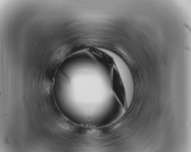 X0000095900125200801251232