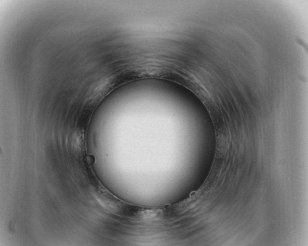 X0000095900126200801251232