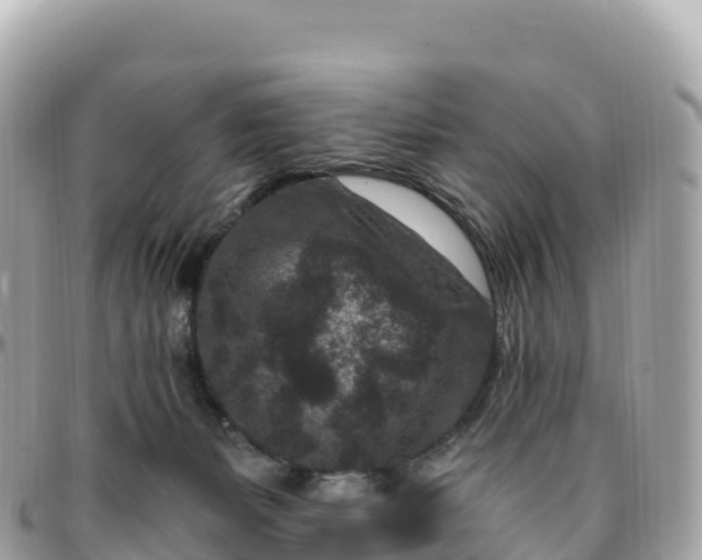 X0000095900127200801251232