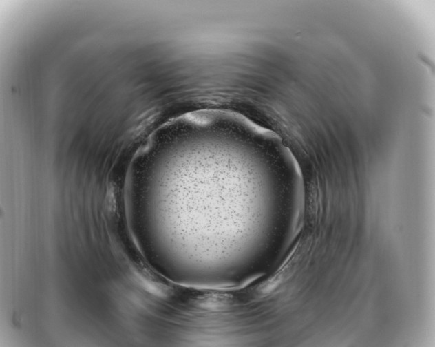 X0000095900128200801251232