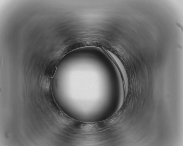 X0000095900129200801251232