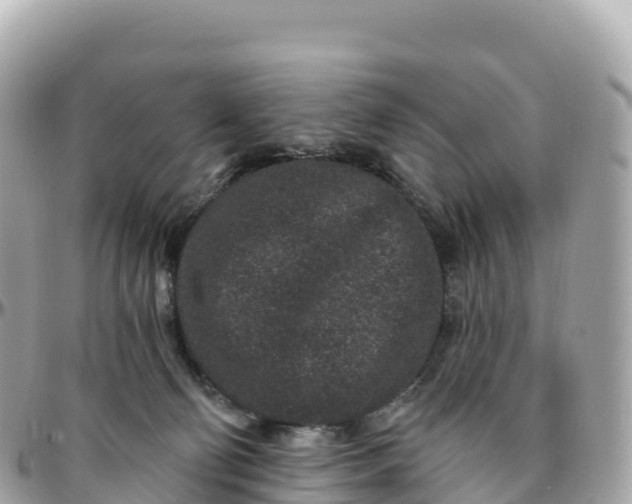 X0000095900130200801251232