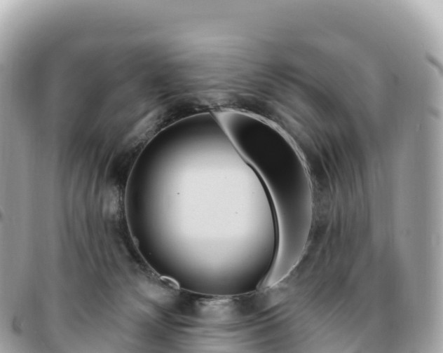 X0000095900132200801251232