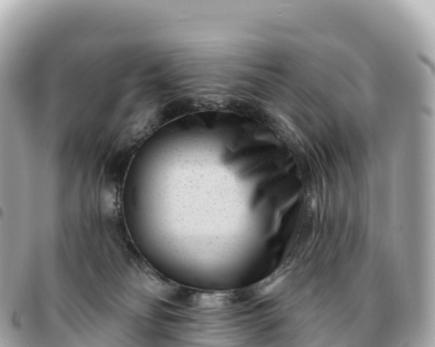 X0000095900134200801251232