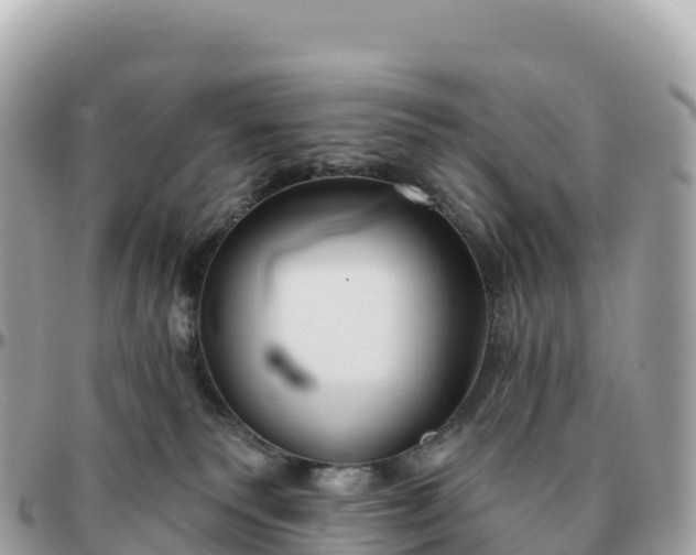 X0000095900135200801251232