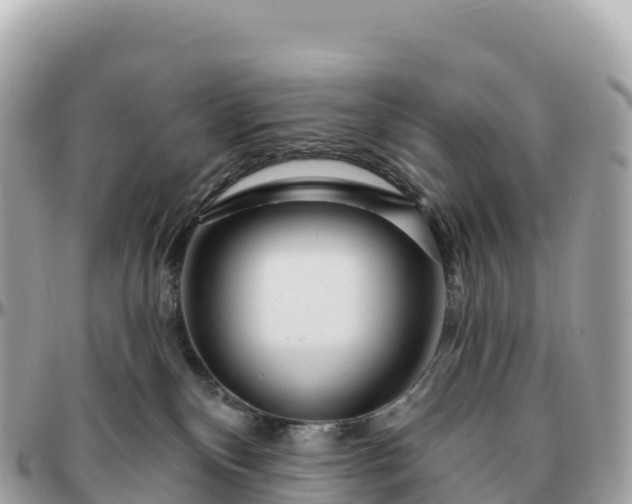 X0000095900136200801251232