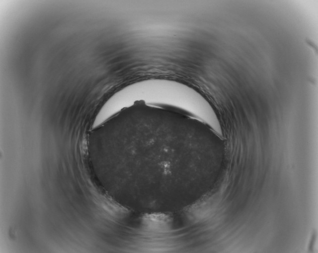 X0000095900137200801251232