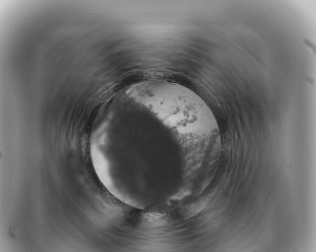 X0000095900139200801251232