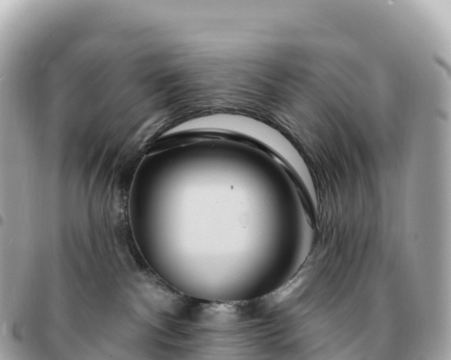 X0000095900140200801251232