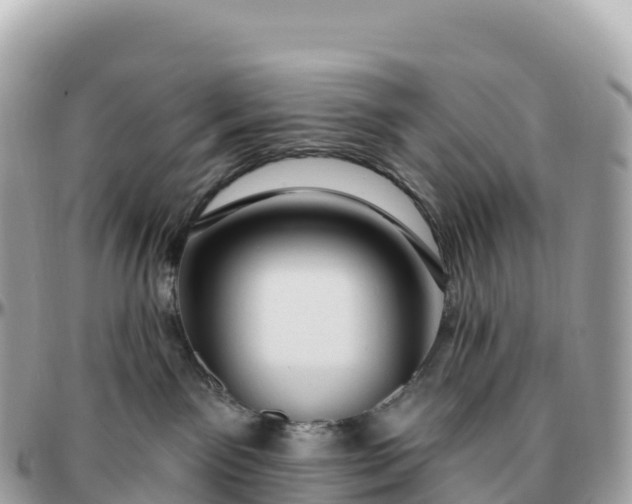 X0000095900141200801251232