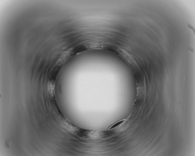 X0000095900142200801251232