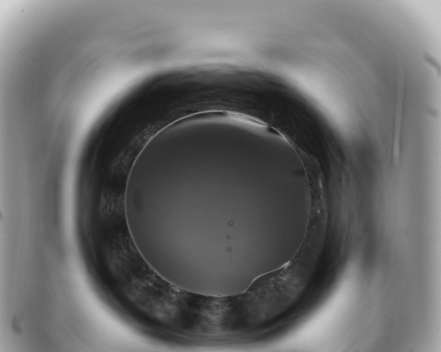 X0000095900143200801251232