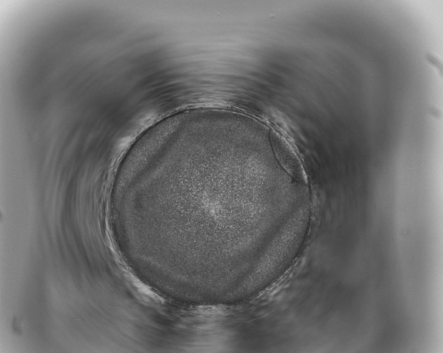 X0000095900145200801251232